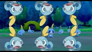 Camping With 6 Sobbles For Over An Hour - Pokemon Sword & Shield