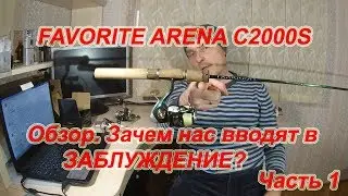 FAVORITE ARENA C2000S. Предварительный обзор.