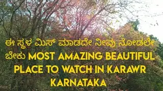 Anashi Monsoon beauty, Karwar, Karnataka