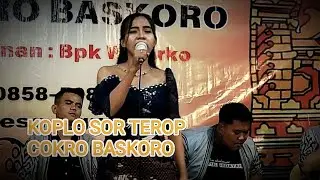 KOPLO SOR TEROP