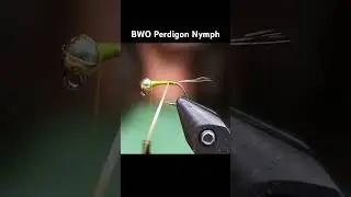 FLY TYING TROUT FLIES: THE BWO PERDIGON NYMPH #fishingflies #flyfishing #flytying #trout #short