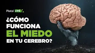 ¿Cómo funciona el miedo en tu cerebro?