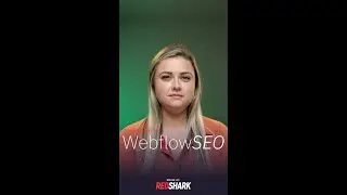 Webflow SEO How to Rank on Google Pt. 4 - Types of SEO: Technical and On-Page