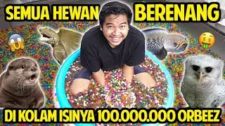SEMUA HEWAN BERENANG DI KOLAM ISINYA 100.000.000 ORBEEZ! GAK NYANGKA SAMPE LUBER KELUAR KOLAM!