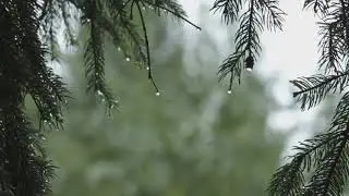 Free Raindrops overlay stock footage_6