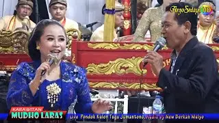 Slendang sutro Kacu kuning - Tata & Tomo, cokek Mudho Laras Terbaru