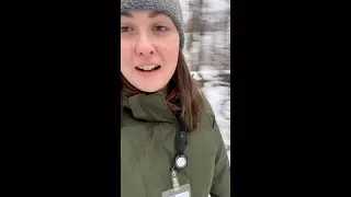 Hunt for treasure on West Michigan park trails
