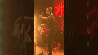 Początek koncertu. Wilki w akcji 