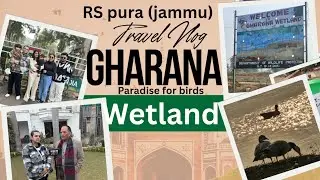 Guarna wetland, paradise for birds, last village of India, india Pakistan boarder