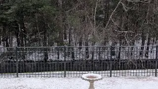 Another Snow Day Vlog| Spring & Easter Mini Haul
