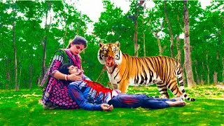 Tiger Attack Man in Forest | Tiger Attack in Jungle | Tiger Attack Stories