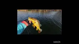 Hm Fish pescando na Barragem Santa Cruz/Apodi/RN. Estreia no 5 Torneio God Fish on-line. 