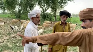 saraiki funny drama manda badmash 😂