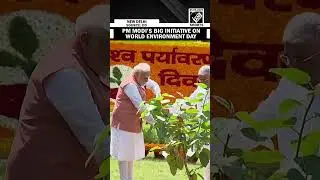 PM Modi flags off 200 electric buses, launches tree plantation campaign | 'Ek Ped Maa Ke Naam'