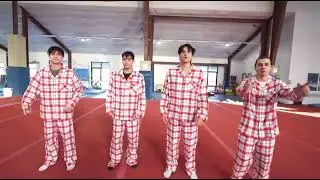 dobre brothers.we the dobre brother and we do back flips