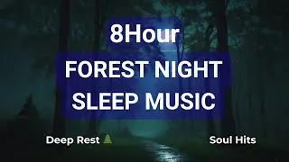 8 Hours Forest Night Sounds for Deep Sleep 🌲 Rain & Nature Sounds - Conscious Calm Sleep Music