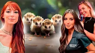 Cute Animal Hypnosis