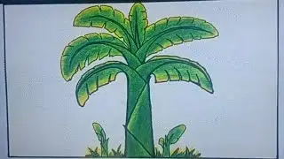 How to draw Banana tree 🌴# make banana tree