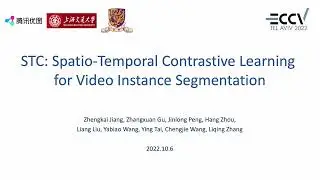 STC: Spatio-Temporal Contrastive Learning for Video Instance Segmentation