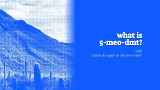 The 5-MeO-DMT Experience: Nervous System Surrender, Safety, and the God Molecule