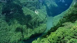Ayla Schafer & Giselle Real-d'Arbelles - Agua del amor