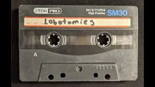 Audio Lobotomies - Talkin' 'Bout The Smiling Deathporn Immortality Blues (Flaming Lips Cover)