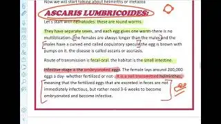 Ascaris lumbricoides // Entrobius vermicularis // Echinococcus granulosus // Schistosoma