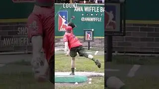 Green Screen Guy Did What?😭 #wiffleball #dingersornothing #baseball #shorts