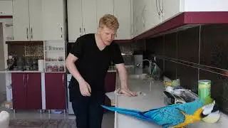 PAŞA REİS'LE MUTFAKTAYIZ🦜❤️