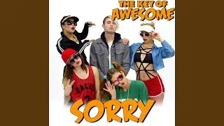 Sorry - Parody of Justin Bieber's 