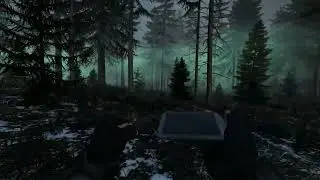 Pripyat Forest apparitions
