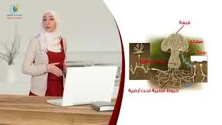 13 الفطريات 1 علوم7