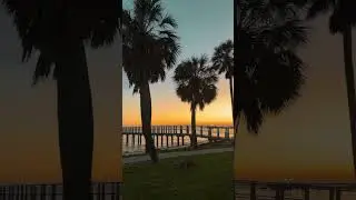 More nights like this. #sunset #stpete #palmtrees