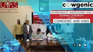 AI-Based Cattle | Farming Empowering Farmers | Cowgenic & UVAS Collaboration | MOU Signing | UBM Tv