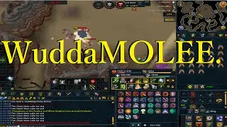 Runescape Money Tips: Giant Mole