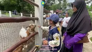 Serunya bermain di Cimory dan Dusun semilir bersama Iska Media Penerbit Buku seru dan mendidik 