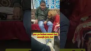&ldquo;This One Clip Will Make You Love Dogs Forever ❤️🐕&rdquo; #dogshorts #Funnydog #viralshorts #desidog