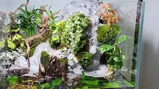 Waterfall Aquaterrarium made from Amazon boxes 📦  #terrarium #aquaterrarium #waterfall #plants