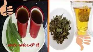 జామ ఆకుల టీ/ Guava leaf tea|mouth freshener|Immunity booster tea|for gums problem