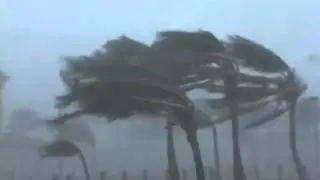 Videofreex
