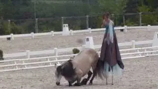 Haras du Pin demonstration