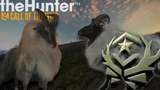 TAHR GRINDING! WILL HE SPAWN TONIGHT? 210 INTO THE GRIND!| The Hunter Call of the Wild