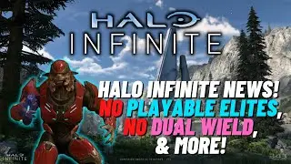 Halo Infinite News! 343 Q&A Highlights about Playable Elites, Dual Wield, Wildlife & More!