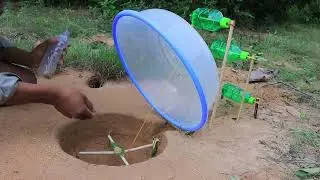 Easy Underground Parrot Trap Using Plastic and 3 Bottles