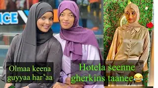 Vlog/Olmaa guyyaa Har&rsquo;aa#vlog#ibsuobse