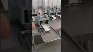 dumpling wrapper machine#imitation handmade dumpling wrapper machine#dumplingsshop#foodmachinery