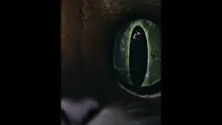 Давно хотела сделать такое видео.. #котвсапогах2 #волк #смерть #edit #страх