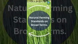 Natural Farming Standards #sustainablefarming #organic #soil2body #soilhealth #farmingpassion