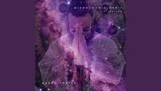 Microcosmic Orbit Activation