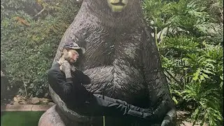 Проведение мальчишника в качестве шафера.